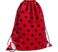 Мешок для обуви ErichKrause Dots in Red 365x440мм 52074