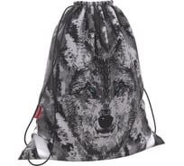 Мешок для обуви ErichKrause Wolf 365x440мм 46183