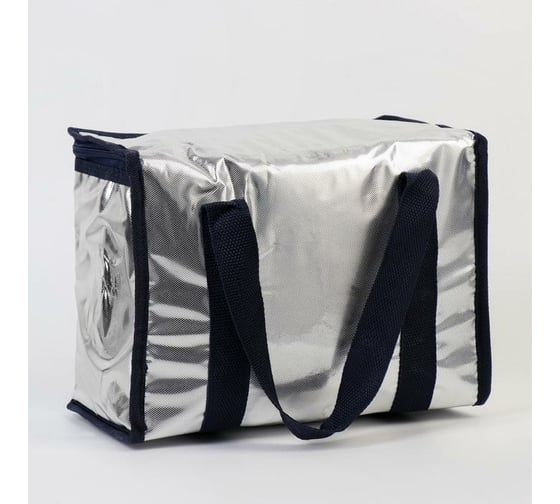 Термосумка Мастер К 8 л, сохраняет холод до 3 ч, 21x15x27 см 4484728