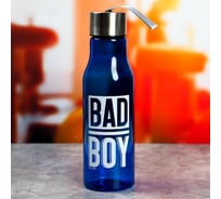 Бутылка для воды Svoboda Voli Bad boy, 650 мл 5232163