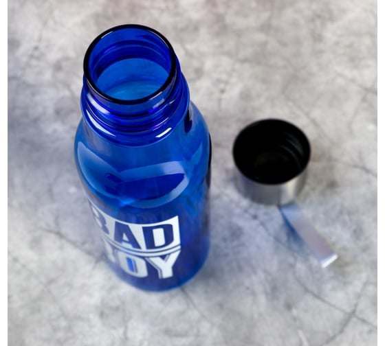 Бутылка для воды Svoboda Voli Bad boy, 650 мл 5232163