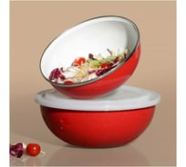 Эмалированная миска с пластиковой крышкой Agness DELUXE 901-056