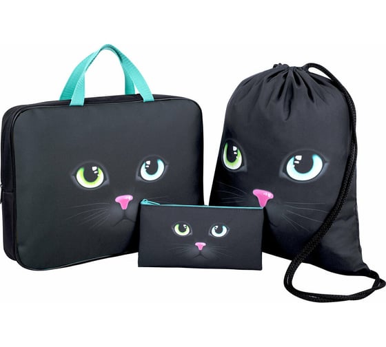 Школьный набор BRAUBERG Black cat 271075