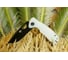 Нож Honey Badger Tanto DLC D2 G10 M Limited Edition, черный HB1287 4