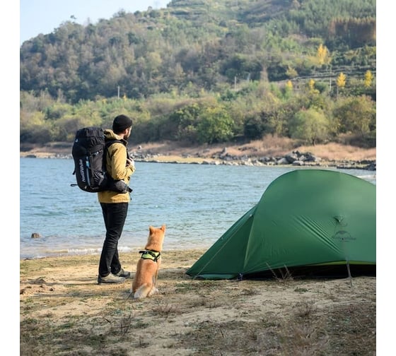 Палатка Naturehike Cloud up 2 210T NH17T001-T двухместная, с ковриком, зеленая 6927595730577