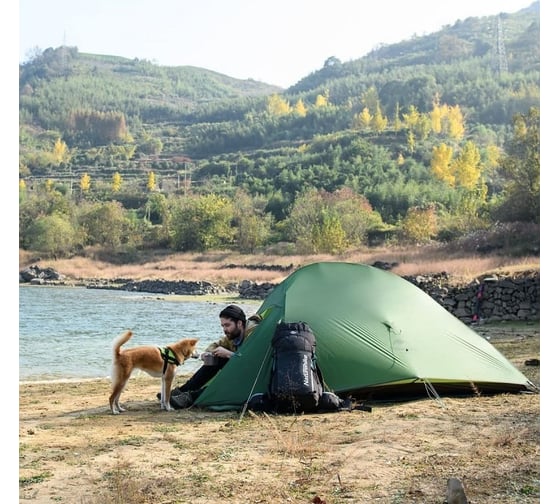 Палатка Naturehike Cloud up 2 210T NH17T001-T двухместная, с ковриком, зеленая 6927595730577