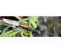 Набор Opinel №8 Outdoor Earth 14 шт, 7 синих + 7 оранжевых 001841 6