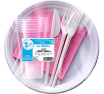 Набор одноразовой посуды IP Пирушка 4354