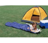 Спальный мешок BestWay 67069 BW, 220х75см