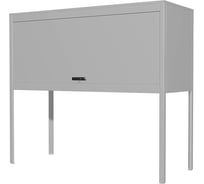 Парковочный шкаф Сорокин 24.20