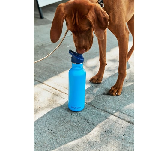 Бутылка Klean Kanteen NEW Classic Sport 27oz 800 мл, Hawaiian Ocean 1008441