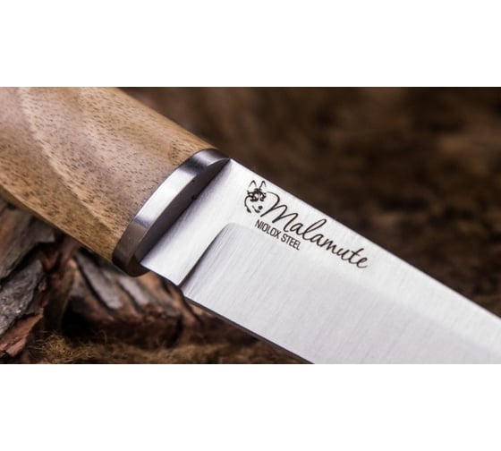 Туристический нож Kizlyar Supreme Malamute сталь Niolox, StoneWash, рукоять из Кавказского ореха 4650065057752