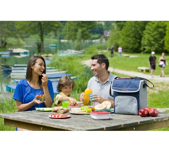 Изотермическая сумка CAMPINGAZ Fold'N Cool™ 20L Dark Blue 2000011724