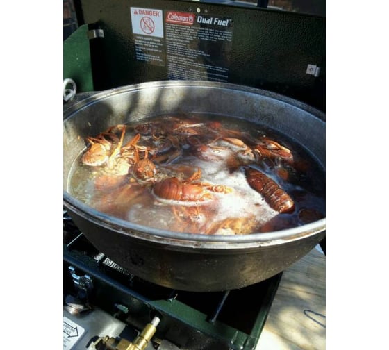 Бензиновая 2-х конфорочная плита COLEMAN Unleaded 2-Burner Stove 3000000788