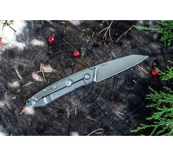 Нож Ruike серебристый P831-SF