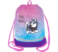 Мешок для обуви Berlingo 1 отделение, husky boy, 510x400 мм MS1007