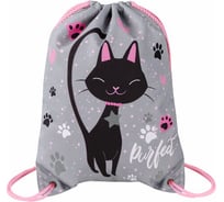 Мешок для обуви BRAUBERG Premium Elegant cat, карман, подкладка, светоотражайка, 43x33 см 271620