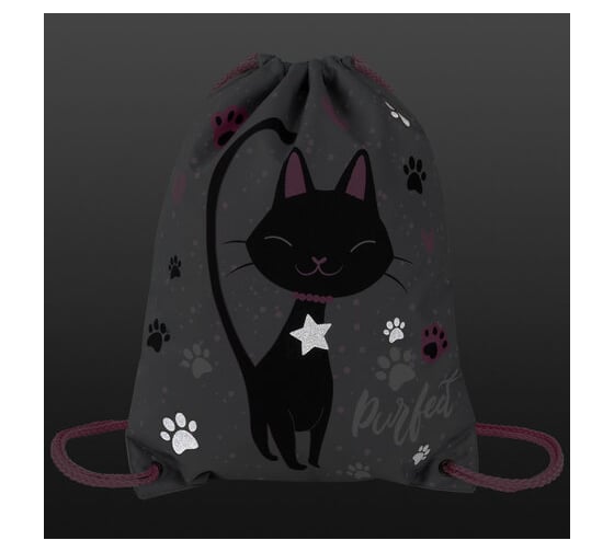 Мешок для обуви BRAUBERG Premium Elegant cat, карман, подкладка, светоотражайка, 43x33 см 271620
