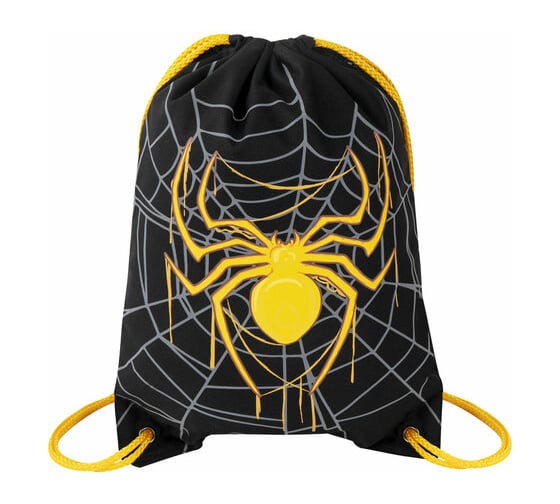 Мешок для обуви BRAUBERG Premium Venomous spider, карман, подкладка, светоотражайка, 43x33 см 271624