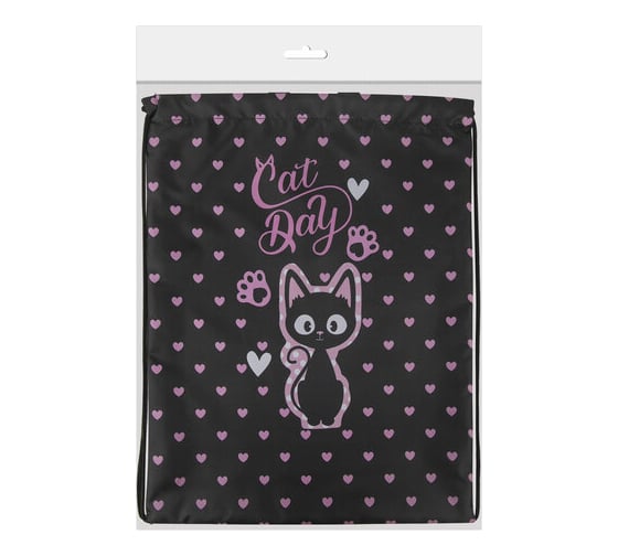 Мешок для обуви BRAUBERG Kids Amazed cat, с петлей, 42x34 см 271629
