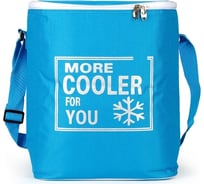 Сумка-термос BAROUGE 28/15/35 BCG-33 15 л/голубой