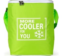 Сумка-термос BAROUGE 28/15/35 BCG-33 15 л/зеленый