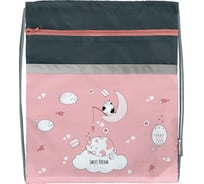 Большой мешок для обуви SCHOOLFORMAT CATS IN CLOUDS 49x41 см, для девочек, с карманом МОБК-КИК