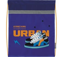 Мешок для обуви SCHOOLFORMAT СКЕЙТБОРД 42x34x0.5, 1 отделение, синий, для мальчиков МОМ-СКБ