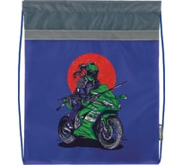 Мешок для обуви SCHOOLFORMAT СКЕЛЕТОНЫ 42x34x0.5, 1 отделение, серый, для мальчиков МОМ-СК