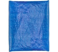 Универсальный тент Helios hs-bl-3x3-60g 3x3м, 60 г/м², blue 00000120133