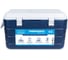 Изотермический пластиковый контейнер Camping World thermobox family line 40 л 138365 2