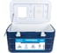 Изотермический пластиковый контейнер Camping World thermobox family line 40 л 138365 9