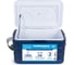 Изотермический контейнер Camping World thermobox family line 10 л 138362 7