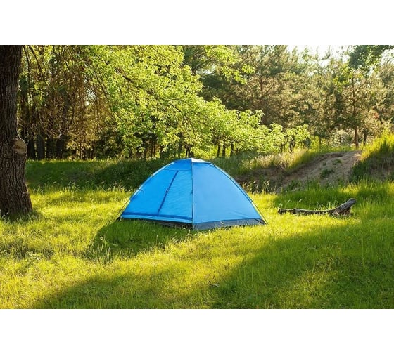 Туристическая палатка Calviano ACAMPER DOMEPACK 4 blue 2073000020055