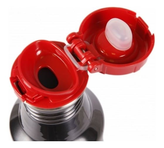 Фляга THERMOS Roho 0.7 л TD 100825