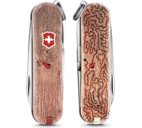 Нож-брелок Victorinox Classic LE 2017 58мм, Woodworm 0.6223.L1706