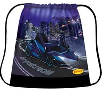 Сумка для сменной обуви Limpopo DRIFSTREAM, 420х340 мм LPR0280 Сум2339