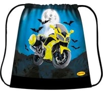 Сумка для сменной обуви Limpopo МОТО, 420х340 мм LPR0284 Сум2341