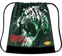 Сумка для сменной обуви Limpopo ТИГР, 490х410 мм LPR0286 Сум2335