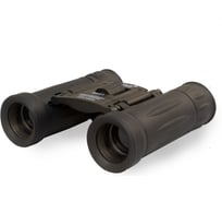 Бинокль Levenhuk Atom 8x21 67675