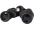 Бинокль Levenhuk Atom 8x40 67680 3