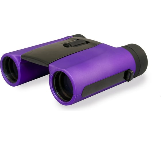 Бинокль Levenhuk Rainbow 8x25 Amethyst 67694