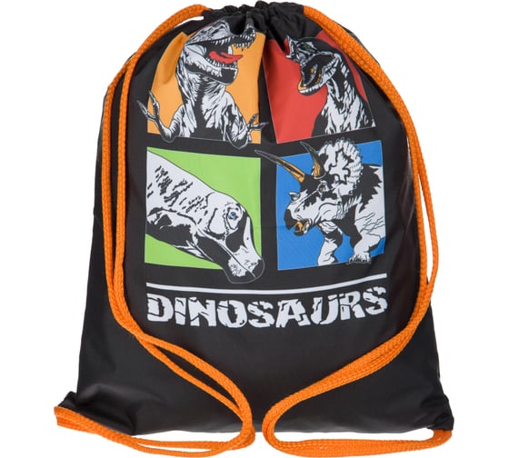 Мешок для обуви №1 School dinosaurs, 330x420 мм, мо-20 1716504