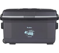 Термоэлектрический автохолодильник TESLER TCF-4512 00000202853