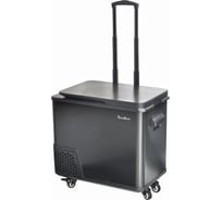 Автохолодильник TESLER CCF-4001 00000202769