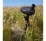 Зрительная труба Celestron C70 Mini Mak, 52238 9