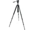 Штатив TrailSeeker Celestron 82050 1