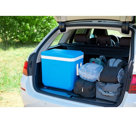 Изотермический контейнер Campingaz Icetime Plus 38L 2000024960