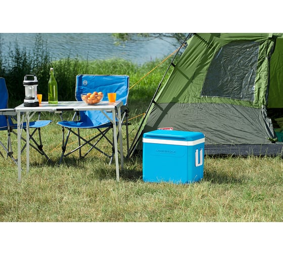 Изотермический контейнер Campingaz Icetime Plus 38L 2000024960