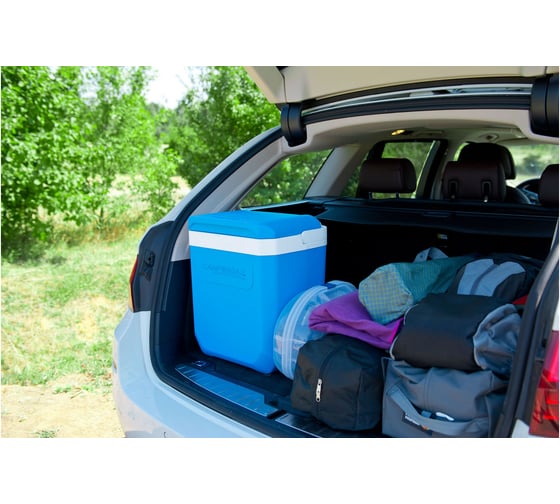 Изотермический контейнер Campingaz Icetime Plus 30L 2000024963